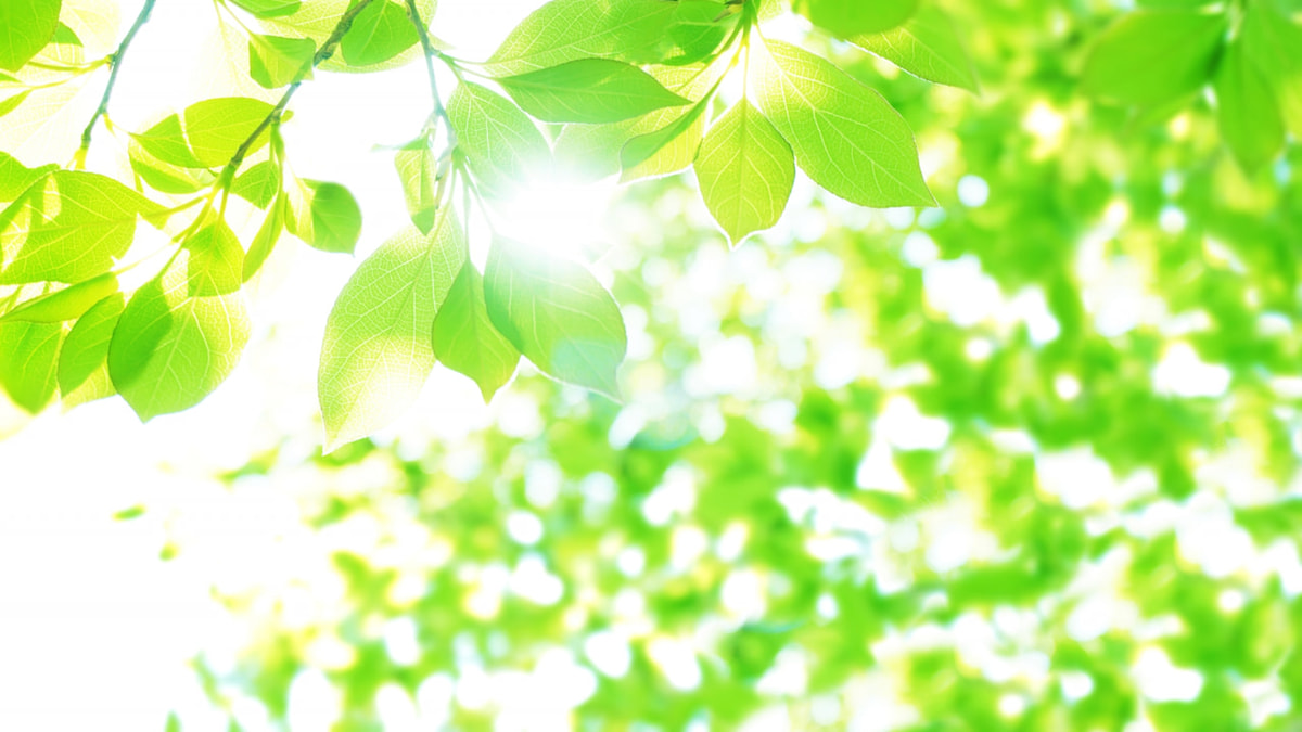 リフィーディング症候群とは何ですか?