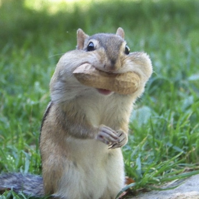 院長ブログ写真