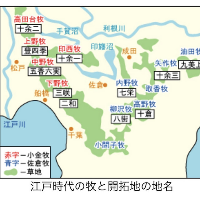 院長ブログ写真