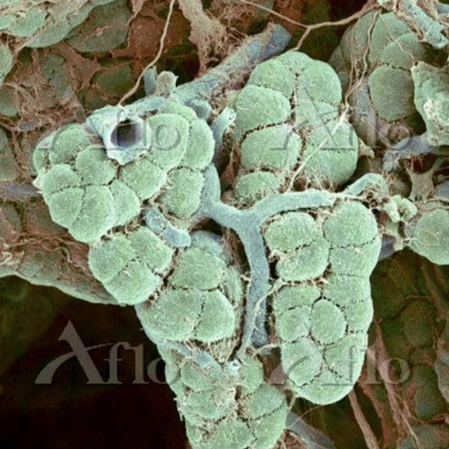 院長ブログ写真