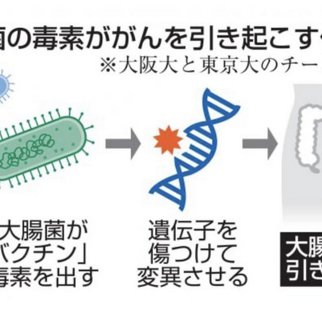 院長ブログ写真